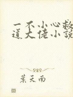 一不小心救了黑道大佬小说