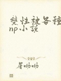 双性被各种淫玩np小说