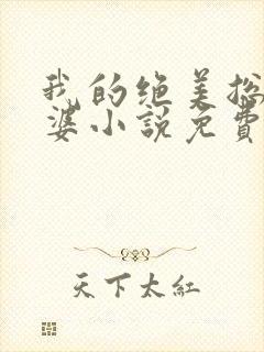 我的绝美总裁老婆小说免费阅读全文