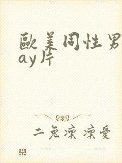欧美同性男男gay片
