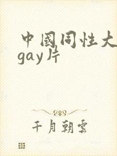 中国同性大尺度gay片