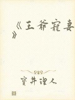 《王爷宠妻无度》