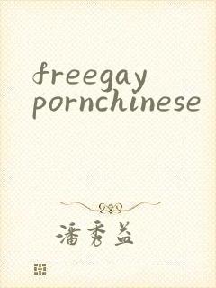 freegaypornchinese封面