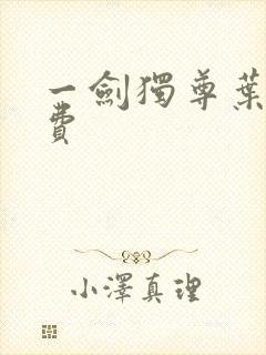 一剑独尊叶玄免费
