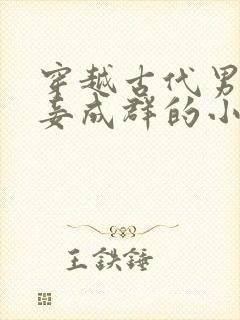穿越古代男主妻妾成群的小说封面