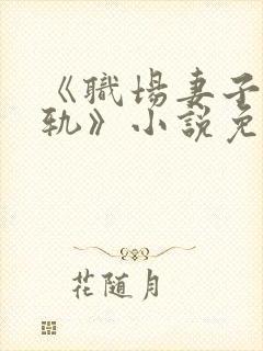 《职场妻子的出轨》小说免费阅读