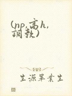 (np,高h,调教)
