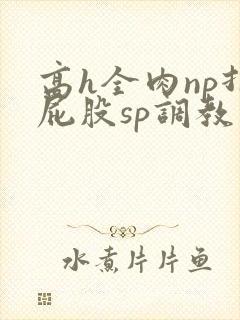 高h全肉np打屁股sp调教