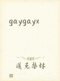 gaygayx封面