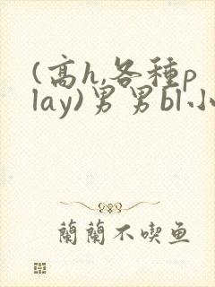 (高h,各种play)男男bl小说封面