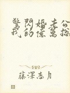 惊闪婚老公竟是我的亿万总裁
