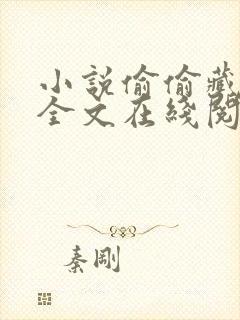 小说偷偷藏不住全文在线阅读