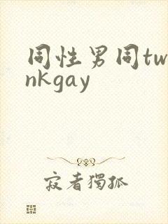 同性男同twinkgay