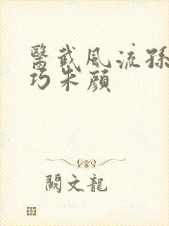 医武风流孙哲叶巧朱颜