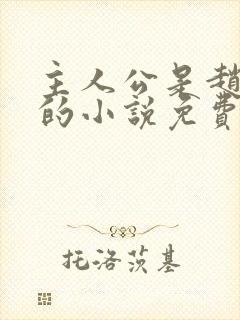 主人公是赵无极的小说免费阅读封面
