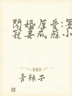 闪婚厚爱:墨少宠妻成瘾小说