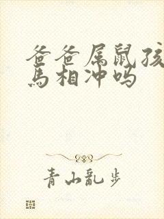 爸爸属鼠孩子属马相冲吗