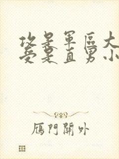 攻是军区大佬,受是直男小说
