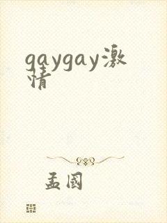 gaygay激情