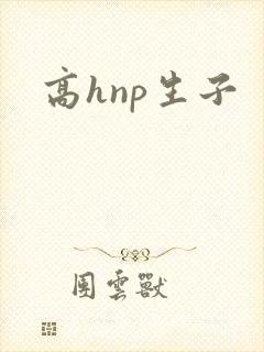 高hnp生子封面