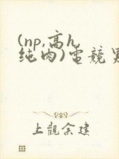 (np,高h,纯肉)电竞男男