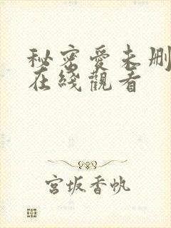 秘密爱未删减版在线观看