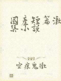国产短篇激情合集小说封面