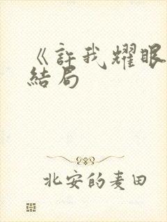《许我耀眼》大结局