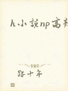 h小说np高辣封面