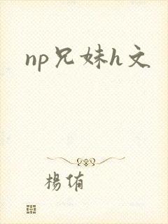 np兄妹h文封面