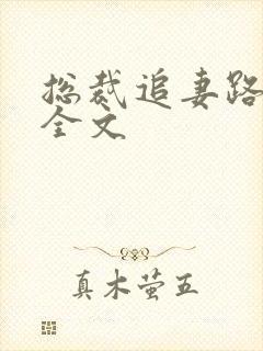 总裁追妻路漫漫全文