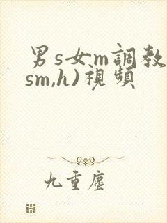 男s女m调教(sm,h)视频