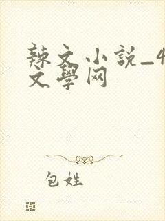 辣文小说_48文学网