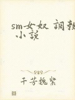 sm女奴 调教 小说