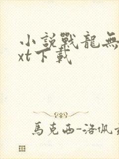 小说战龙无双txt下载