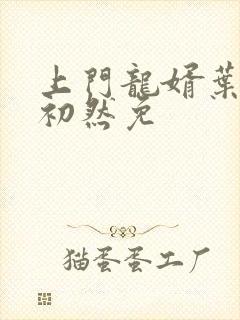 上门龙婿叶辰萧初然免
