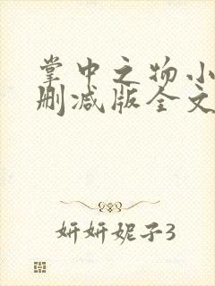 掌中之物小说无删减版全文阅读