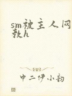 sm被主人网调教h封面