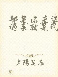 那是你老婆?抢过来就是我的了小说免费阅读封面