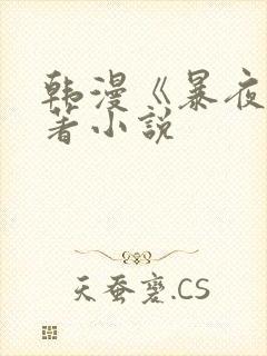 韩漫《暴夜》原著小说