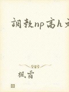 调教np高h文