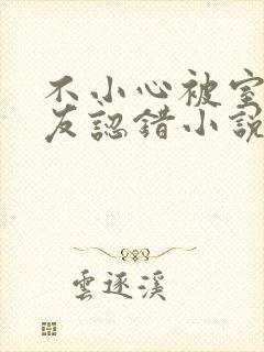 不小心被室友男友认错小说封面
