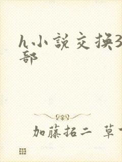h小说交换38部