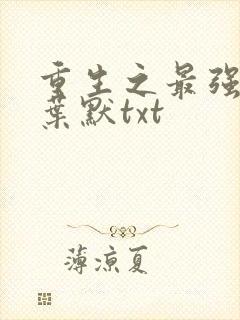 重生之最强弃少叶默txt