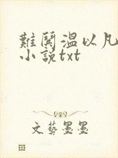 难哄温以凡桑延小说txt