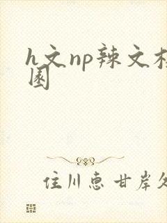 h文np辣文校园封面