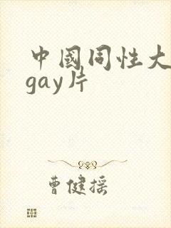 中国同性大尺度gay片