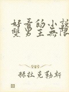 好看的小说推荐双男主无限流
