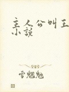 主人公叫王宇的小说