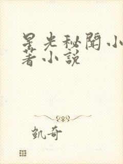 星光秘闻小说原著小说
